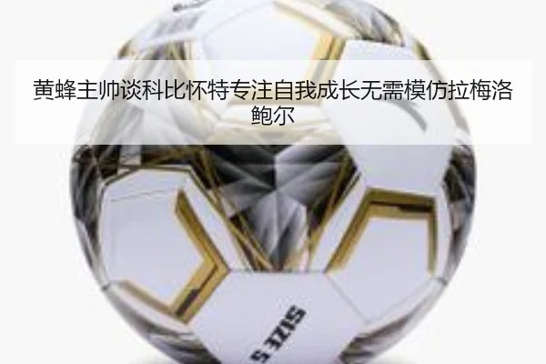 黄蜂主帅谈科比怀特专注自我成长无需模仿拉梅洛鲍尔