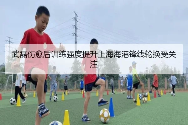 武磊伤愈后训练强度提升上海海港锋线轮换受关注